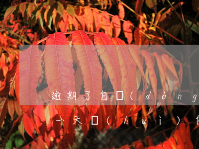 逾期了自動(dòng)還款是秒扣嗎(逾期一天會(huì)自動(dòng)扣款嗎)