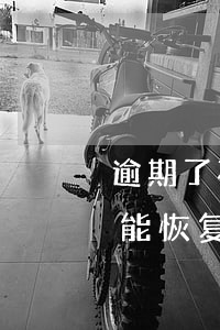 逾期了花呗多久能提额度(花呗逾期降额多久能恢复还有机会用吗)