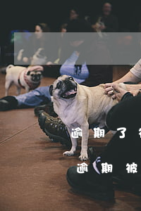 逾期了被起訴本人手機有短信嗎(收到短信說逾期被起訴)