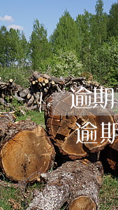 逾期了說(shuō)要到家里去該怎么辦 逾期了說(shuō)要到家里去該怎么辦呀