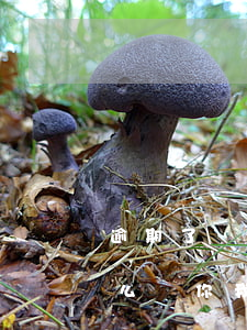 逾期了說要發(fā)律師函還了一部分怎么辦(你我貸逾期沒還款,發(fā)了律師函后果嚴重嗎)