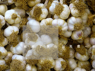 逾期了貸后說先還一期才能協(xié)商-