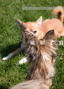 逾期了貸款，逾期了貸款還能放出來(lái)嗎