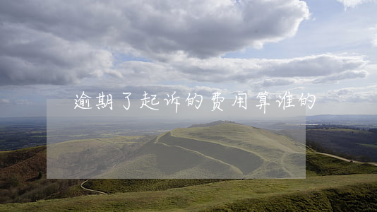 逾期了起诉的费用算谁的