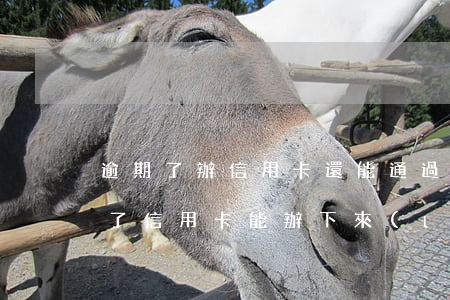 逾期了辦信用卡還能通過(guò)嗎(逾期了信用卡能辦下來(lái)嗎)