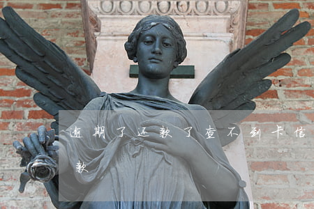 逾期了还款了查不到卡(信用卡逾期查不到欠款)