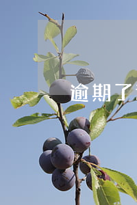 逾期了还能炒股票么(逾期的人可以炒股吗)