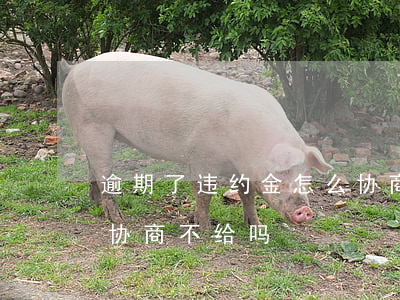 逾期了违约金怎么协商还款 逾期违约金可以协商不给吗