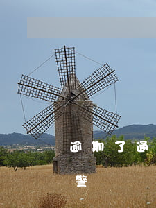 逾期了通訊錄被騷擾(逾期被爆通訊錄可以報警嗎)