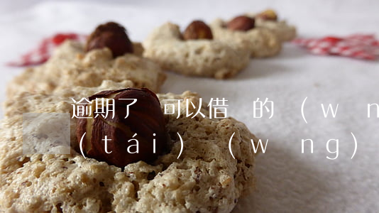 逾期了還可以借錢的網(wǎng)貸平臺(tái)(網(wǎng)貸逾期可以借款的平臺(tái))