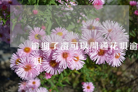 逾期了還可以開通花唄(逾期了還可以開通花唄)