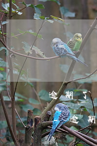 逾期了還完了以后凍結(jié)了我的卡-逾期了還完了以后凍結(jié)了我的卡怎么辦