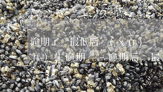逾期了還最低后續(xù)還會產(chǎn)生逾期嗎-逾期后還最低金額會上報征信嗎