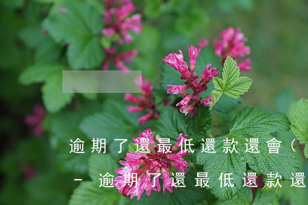 逾期了還最低還款還會(huì)被催收么-逾期了還最低還款還會(huì)被催收么嗎