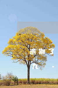 逾期了還有什么網(wǎng)貸可以借十九歲-真正逾期也能貸的平臺19歲