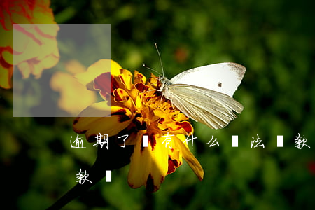 逾期了還有什么辦法貸款(逾期還清了可以貸款嗎)