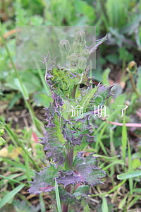 逾期了還款了還要去法院嗎 逾期還款了,還能貸嗎