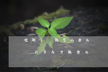 逾期了還款可以套出來嗎(支付寶花唄逾期還進去多久才能套出來)