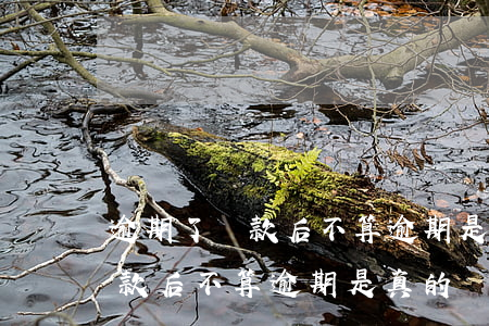 逾期了還款后不算逾期是真的嗎-逾期了還款后不算逾期是真的嗎嗎
