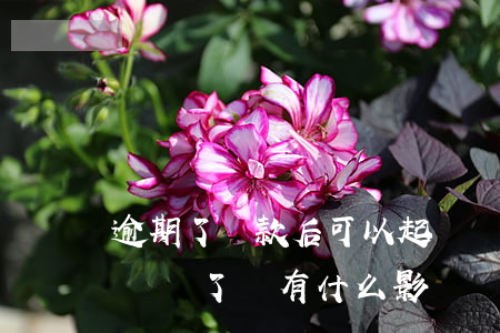 逾期了還款后可以起訴嗎(貸款逾期被起訴后歸還了還有什么影響嗎?)