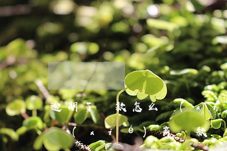 逾期了還款怎么協(xié)商(貸款逾期能協(xié)商還款嗎)