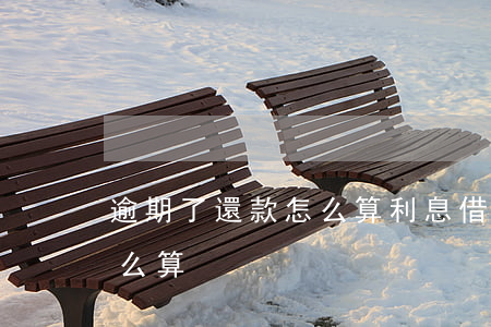 逾期了還款怎么算利息(借款逾期不還利息怎么算)