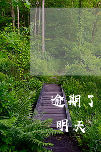 逾期了還款日是幾號(hào)(今天還款日明天還款算逾期嗎)