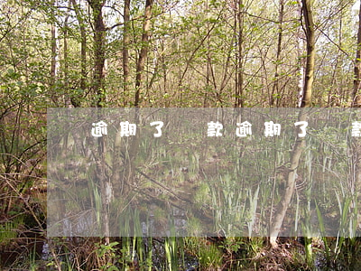 逾期了還款,逾期了還款后還能借嗎 逾期了還款,逾期了還款后還能借嗎