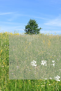 逾期了還清后可以協(xié)商不上征信嗎-逾期了還清后可以協(xié)商不上征信嗎知乎