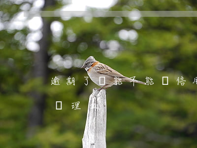 逾期了還能不能辦信用卡（信用卡逾期了還能辦理么）