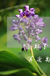 逾期了還能最低還款額嗎(還清了最低還款還算逾期嗎)