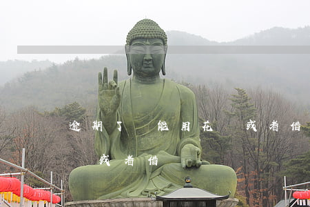逾期了還能用花唄或者借唄(逾期了還能用花唄或者借唄)
