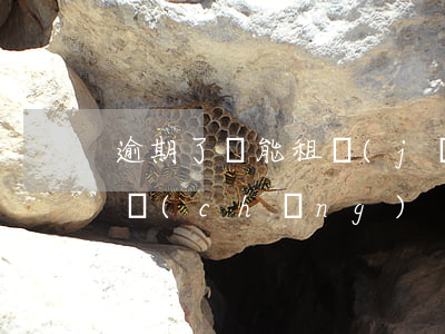 逾期了還能租機(jī)嗎深圳機(jī)場(chǎng)