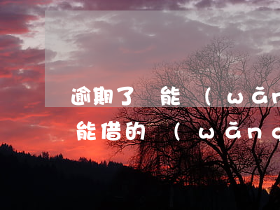 逾期了還能網(wǎng)絡貸嗎(逾期了還能借的網(wǎng)貸)