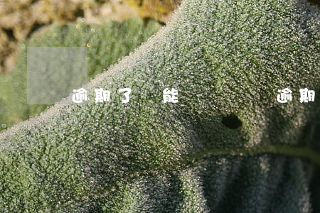 逾期了還能網絡貸嗎(逾期了還能借的網貸)