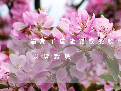 逾期了還能貸款的軟件(其他軟件有逾期還可以貸款嗎)