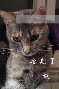 逾期了還能辦理信用卡嗎微信支付-逾期了還能辦理信用卡嗎微信支付不了