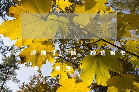 逾期了還能辦理信用卡嗎（逾期了還能辦信用卡嗎民生）