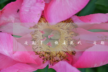 逾期了還能逼死我嗎(逾期還能還款嗎)