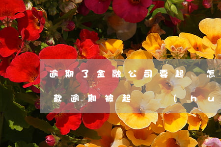 逾期了金融公司要起訴怎么辦(向金融公司貸款逾期被起訴會(huì)不會(huì)坐牢)