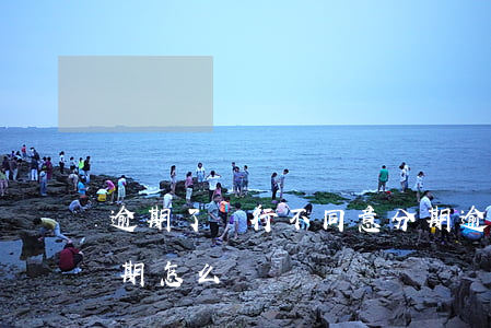 逾期了銀行不同意分期(逾期了銀行不同意分期怎么辦)
