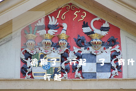 逾期了銀行起訴了會有什么后果（有信用逾期銀行起訴誰）