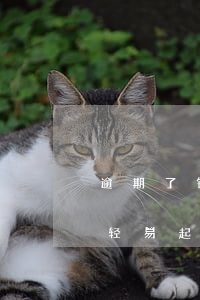 逾期了银行为什么不起诉银行(银行为什么不轻易起诉逾期客户)