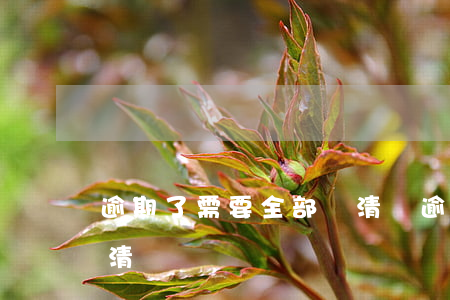 逾期了需要全部還清嗎(逾期多久要求全部還清)
