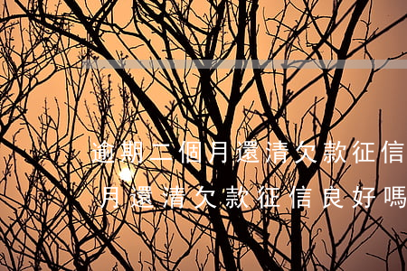 逾期二個月還清欠款征信良好嗎-逾期二個月還清欠款征信良好嗎會怎么樣