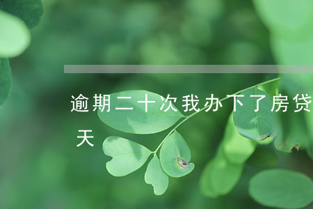 逾期二十次我办下了房贷(银行贷款逾期二十天)