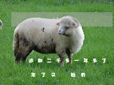逾期二千多一年多了沒有接過電話-逾期2年了又開始有電話