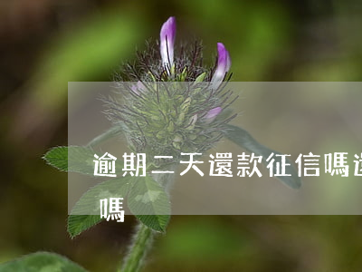 逾期二天還款征信嗎(還款逾期2天影響征信嗎)