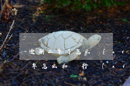 逾期二年了怎么協(xié)商還款(逾期兩年怎么和銀行協(xié)商還款)