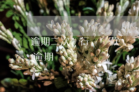 逾期二次銀行給貸款嗎(銀行貸款第二天還算逾期嗎)